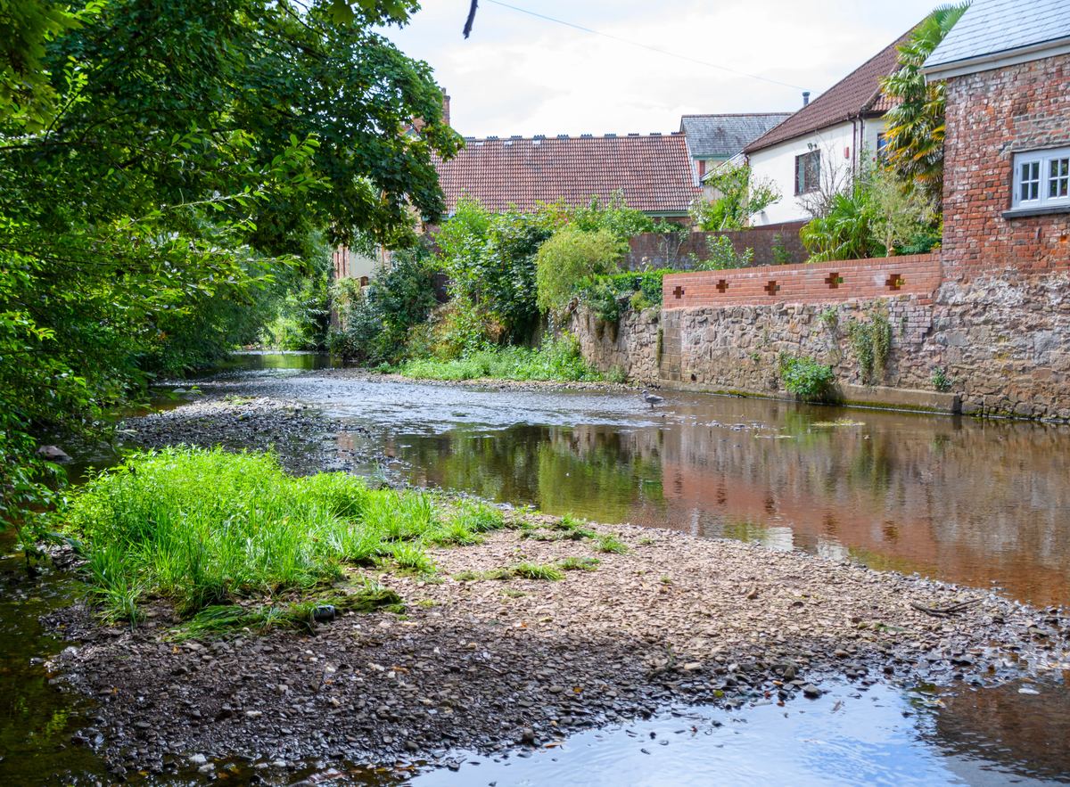 The River Lowman in Tiverton